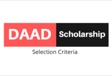 DAAD Scholarship Professor Acceptance Letter and Selection Criteria