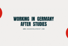 Photo of Can you Work in Germany after completion of your Studies there?