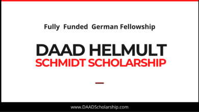 Photo of DAAD Helmut Schmidt Scholarships 2023-2024: Online Application Submission