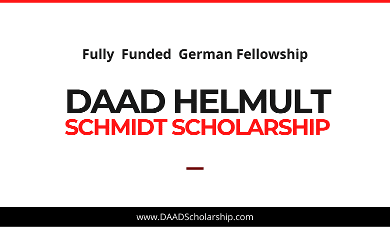 Photo of DAAD Helmut Schmidt Scholarships 2023-2024: Online Application Submission