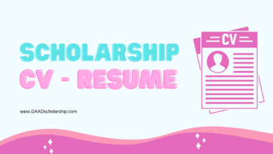 Stunning CV (Resume) for Scholarships [Pro Scholarship CV]