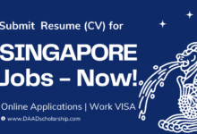 Photo of Jobs in Singapore for International Applicants 2023