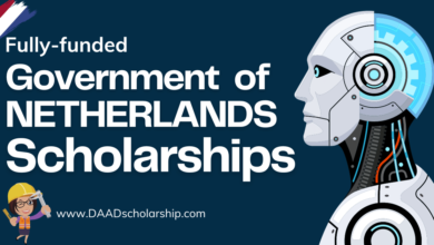 Photo of NL Scholarship 2024 to Study FREE in Netherlands