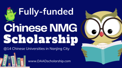 Photo of Nanjing Municipal Government (NMG) Scholarships 2024