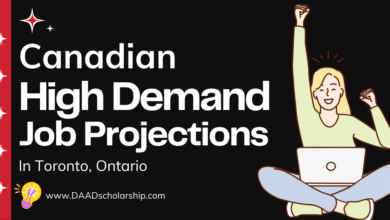 Photo of High-Demand Job Projections Toronto Canada in 2024 (With Salaries)