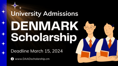 Photo of Denmark University Admissions 2024 With Scholarships