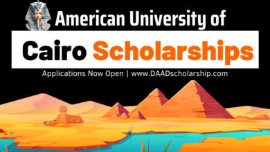 Photo of American University in Cairo (AUC) Scholarships 2024 for Students