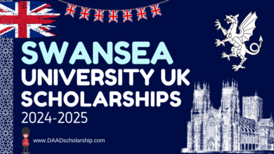 Photo of Swansea University International Excellence Scholarships 2024