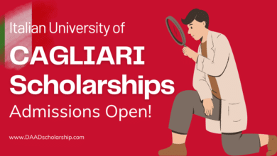 Photo of University of Cagliari PhD Scholarships 2024 Announced