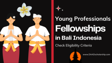 Photo of Young Professional Fellowships in Bali 2024 Session