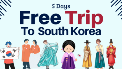 Photo of 5 Days Free Trip of South Korea 2024 via Visit Korea Year Celebrations Program