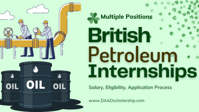 Photo of British Petroleum Internships 2024 (Multiple Countries)