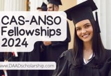 CAS-ANSO Fellowship 2024 for International Students