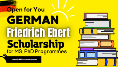 Photo of Friedrich Ebert Foundation (FES) Scholarships in Germany 2024