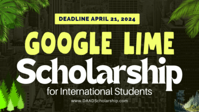 Photo of Google Lime Scholarships 2024 for Students