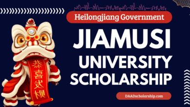 Photo of Jiamusi University Heilongjiang Government Scholarships 2024