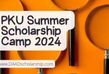 Peking University Summer Scholarship 2024 for Research