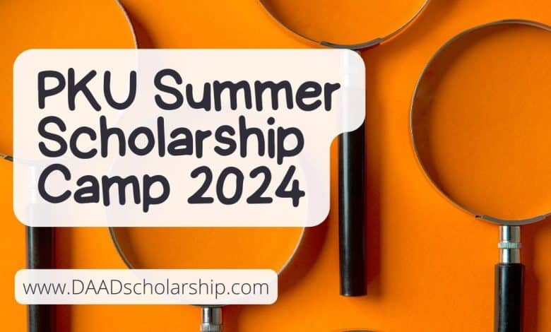 Peking University Summer Scholarship 2024 for Research