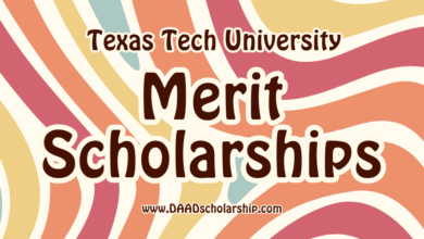 Photo of Texas Tech University Presidential Merit Scholarships 2024