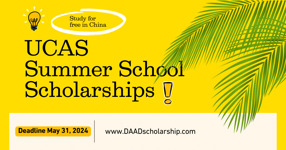 UCAS International Summer School 2024 Scholarship