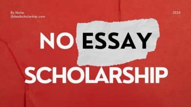 $25,000 No Essay Scholarship 2024 from Niche