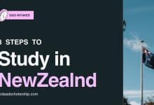 8 Steps to Study in New Zealand on Scholarships in 2025