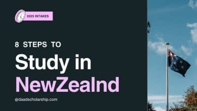 8 Steps to Study in New Zealand on Scholarships in 2025