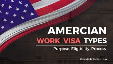 American Work Visa Types 2024 Purpose, Eligibility Criteria, and Application Process