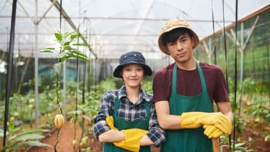 Canadian Farm Workers Jobs With Free Work VISA - No LMIA, No IELTS