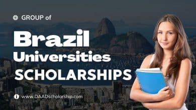 Group of Brazilian Universities (GCUB) Scholarships 2025 for international students