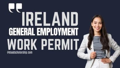 Ireland General Employment Permit Work VISA 2024 - Eligibility, and Application Process