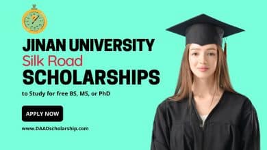 Jinan University Silk Road Scholarships 2024 for BS, MS, PhD