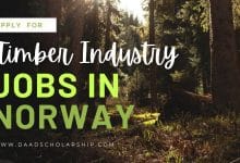 Norway Timber Industry Jobs With Work Permit in 2024