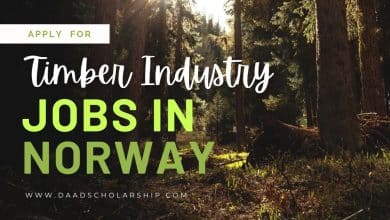 Norway Timber Industry Jobs With Work Permit in 2024