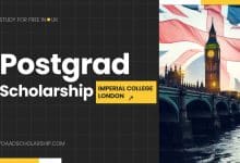 Postgraduate Allergy Scholarship 2024 at Imperial College London