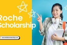 Roche Scholarship 2024 Open for Application Submissions