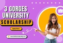 Three Gorges University Scholarships 2024 by Hubei Government