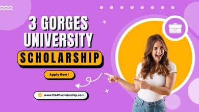 Three Gorges University Scholarships 2024 by Hubei Government