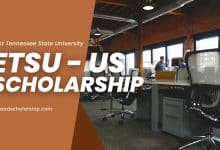 International Merit Scholarships Fall 2024 at East Tennessee State University USA