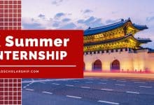 K Summer Internship at Seoul National University 2024