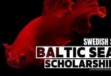 SI Baltic Sea Neighbourhood Scholarship Programme 2025