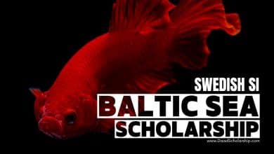 SI Baltic Sea Neighbourhood Scholarship Programme 2025