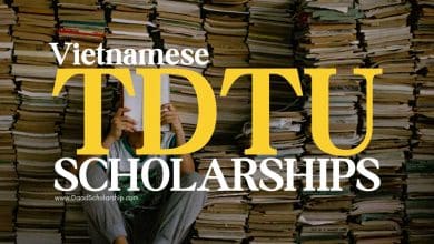 TDTU Vietnam Graduate Scholarship for Spring 2025 Semester