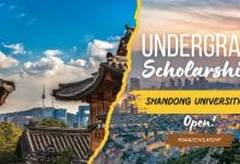 Undergrad Preparatory Scholarship 2024 at Shandong University