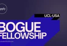 Bogue Fellowships 2024 in USA