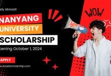 Nanyang President Graduate Scholarship Opening on October 2024