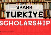 Spark Turkey Scholarship 2024 for Students (3000 Lira per month Stipend)